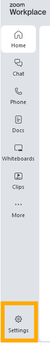 Zoom window with the settings cog in the bottom-left corner.
