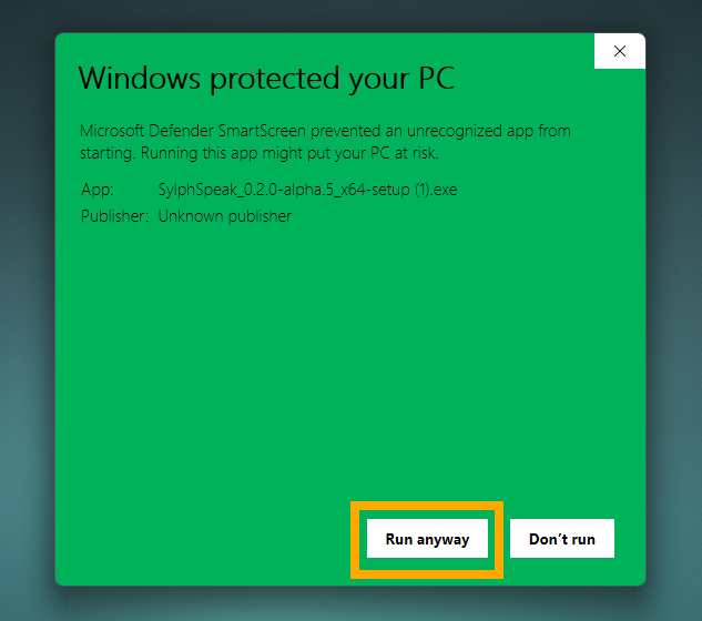 Windows SmartScreen details showing the Run anyway button.