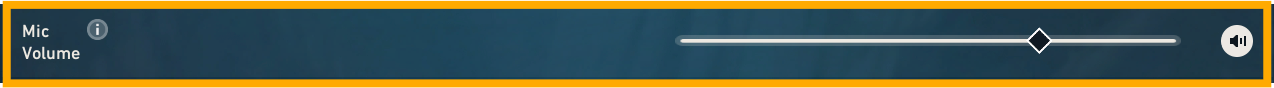 VALORANT Voice Chat settings showing microphone volume.