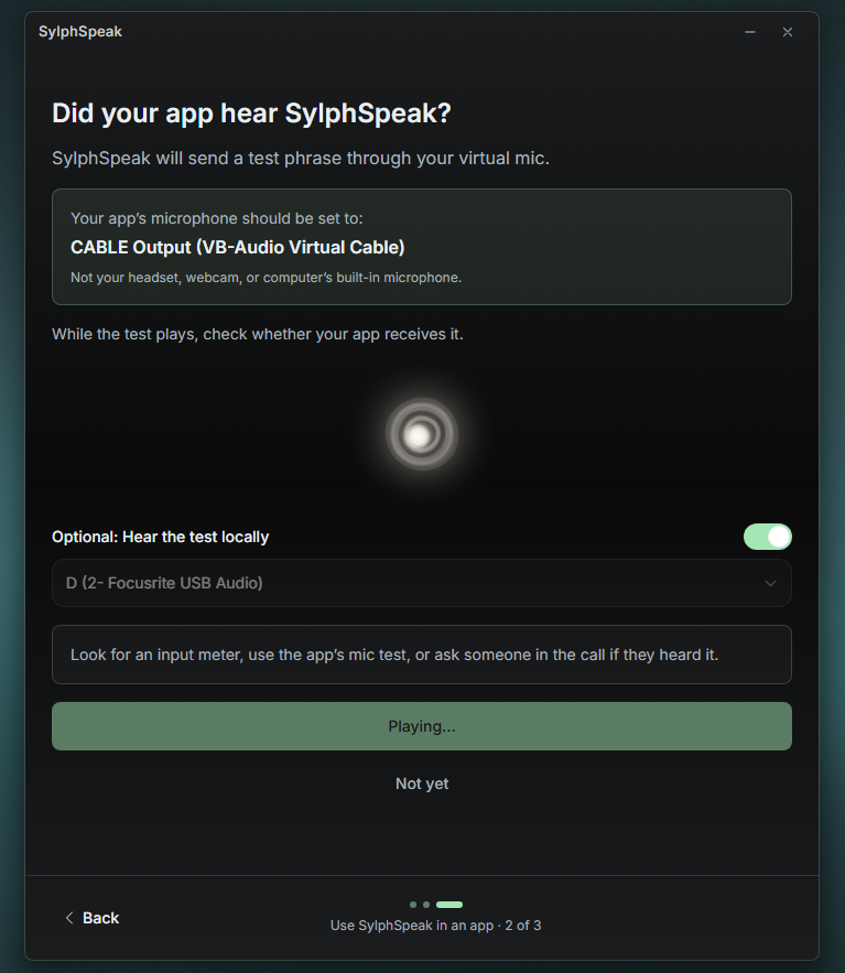 App connection test playing audio, with notes about how to verify it in your voice app.